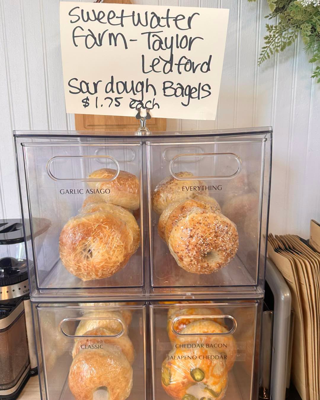 Sourdough bagels in classic, everything, garlic asiago and cheddar bacon